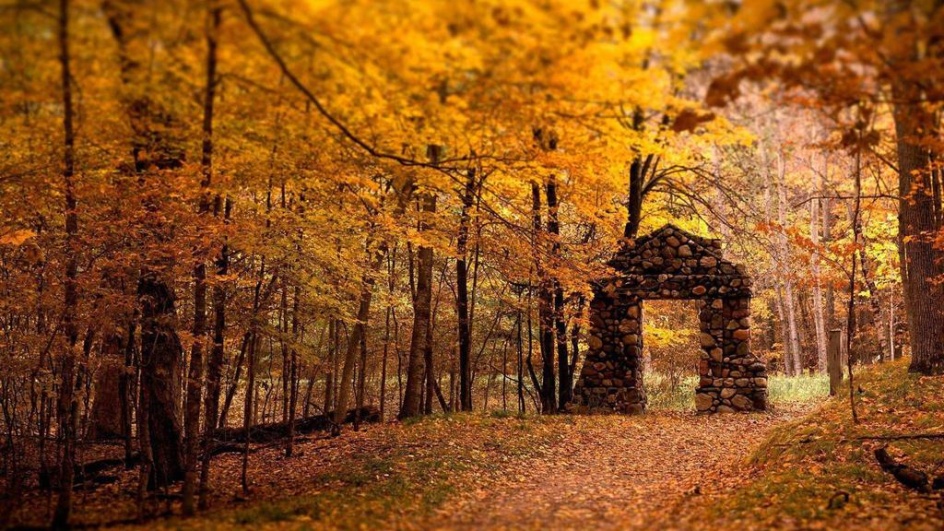 秋天的唯美图片 唯美秋天风景美图欣赏